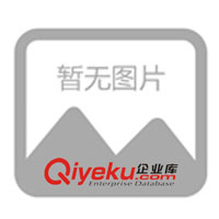 供應(yīng)廣東省廣州 塑料PVC防偽標(biāo)簽(圖)